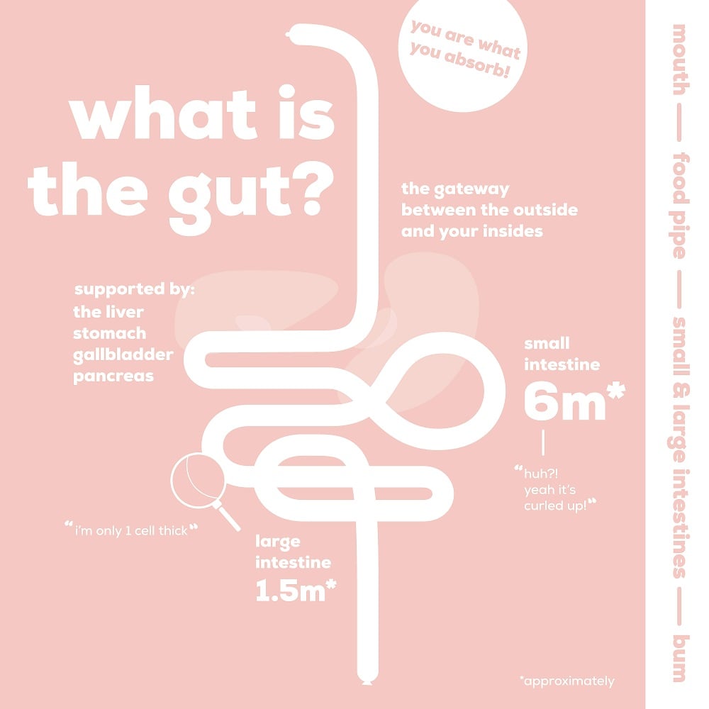 The Gut Stuff- Top tips on managing your gut health