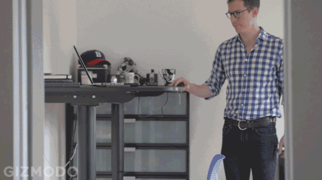 stand up desk.gif