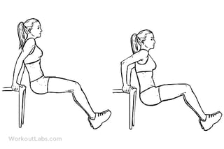 Chair_Tricep_Dip_F_WorkoutLabs.png